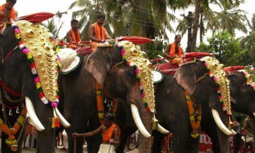 മാര്ഗനിര്ദേശം പാലിച്ചില്ല; തൃപ്പൂണിത്തുറ പൂര്ണ്ണത്രയീശ ക്ഷേത്രത്തിലെ ആന എഴുന്നള്ളിപ്പില് കേസെടുത്ത് വനം വകുപ്പ് മാര്ഗനിര്ദേശം പാലിച്ചില്ല; തൃപ്പൂണിത്തുറ പൂര്ണ്ണത്രയീശ ക്ഷേത്രത്തിലെ ആന എഴുന്നള്ളിപ്പില് കേസെടുത്ത് വനം വകുപ്പ്