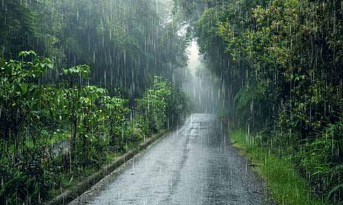 സംസ്ഥാനത്ത് ശനിയാഴ്ച മുതൽ കാലവർഷം കനക്കും; ഇന്ന് ഒറ്റപ്പെട്ട ഇടങ്ങളിൽ ഇടിമിന്നലോട് കൂടിയ മഴയ്ക്ക് സാധ്യത