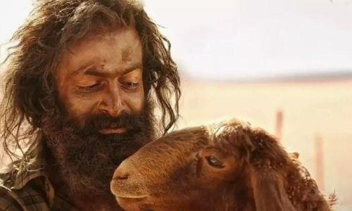 ആട് ജീവിതം ഓസ്കറിലേക്ക് ; പ്രാഥമിക റൗണ്ടിലേക്ക് തിരഞ്ഞെടുക്കപ്പെട്ടു ആട് ജീവിതം ഓസ്കറിലേക്ക് ; പ്രാഥമിക റൗണ്ടിലേക്ക് തിരഞ്ഞെടുക്കപ്പെട്ടു