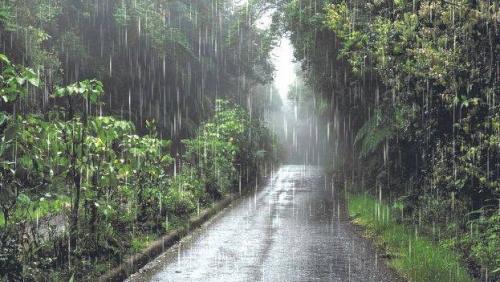 ഇന്നു മുതൽ മഴ ശക്തമാകും; ഏഴു ജില്ലകളിൽ യെല്ലോ അലർട്ട്