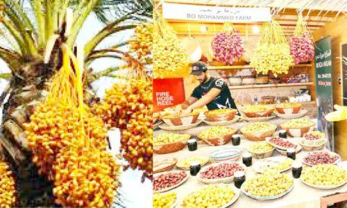 ഈന്തപ്പന ട്രീ ഫെസ്റ്റിവൽ അഞ്ചാമത് എഡിഷൻ ഇന്നുമുതൽ ഈന്തപ്പന ട്രീ ഫെസ്റ്റിവൽ അഞ്ചാമത് എഡിഷൻ ഇന്നുമുതൽ