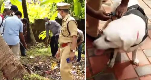 കോഴിക്കോട് റെയിൽപാളത്തിൽ സ്ഫോടക വസ്തു കണ്ടെത്തി കോഴിക്കോട് റെയിൽപാളത്തിൽ സ്ഫോടക വസ്തു കണ്ടെത്തി