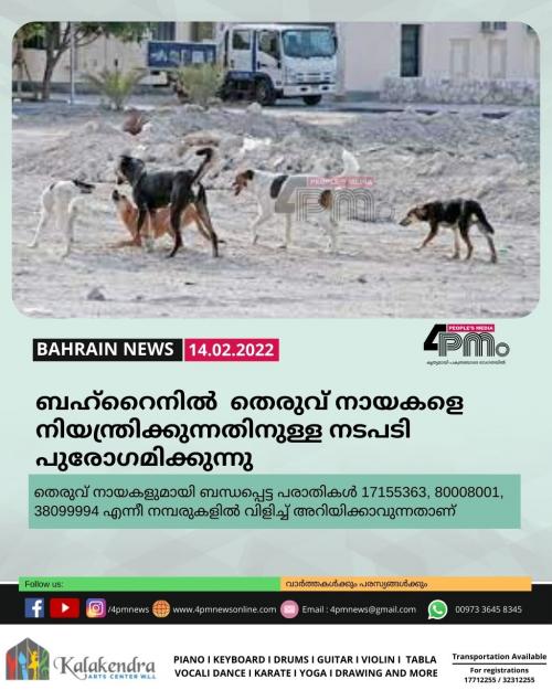 ബഹ്റൈനിൽ തെരുവ് നായകളെ നിയന്ത്രിക്കുന്നതിനുള്ള നടപടി പുരോഗമിക്കുന്നു ബഹ്റൈനിൽ തെരുവ് നായകളെ നിയന്ത്രിക്കുന്നതിനുള്ള നടപടി പുരോഗമിക്കുന്നു