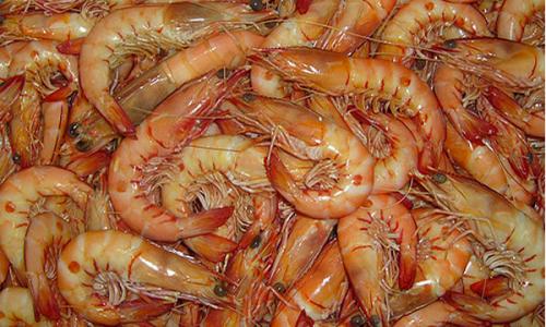 സൗദിയില്‍ നിന്നുള്ള പക്ഷികള്‍ക്കും അമേരിക്കന്‍ ചെമ്മീനും വിലക്ക് ഏര്‍പ്പെടുത്തി