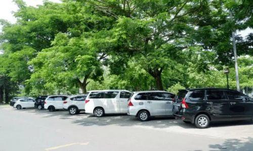 മരങ്ങൾ കാർപോർച്ചായി ഉപയോഗിക്കുന്നതിനെ പ്രശംസിച്ച് സൗദി ഭവന മന്ത്രി