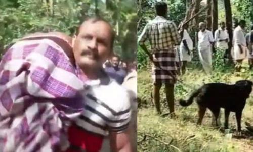 കൊല്ലം ചിതറയിൽ പൊലീസിന് നേരെ ഭീഷണി മുഴക്കി ഭീകരാന്തരീക്ഷം സൃഷ്ടിച്ച സജീവനെ കീഴ്പ്പെടുത്തി കൊല്ലം ചിതറയിൽ പൊലീസിന് നേരെ ഭീഷണി മുഴക്കി ഭീകരാന്തരീക്ഷം സൃഷ്ടിച്ച സജീവനെ കീഴ്പ്പെടുത്തി