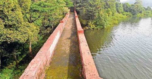 മുല്ലപ്പെരിയാറിലെ മരംമുറി ഉത്തരവ് സംയുക്ത തീരുമാനം; തെളിവ് പുറത്ത് മുല്ലപ്പെരിയാറിലെ മരംമുറി ഉത്തരവ് സംയുക്ത തീരുമാനം; തെളിവ് പുറത്ത്