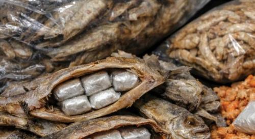 ബഹ്റൈനിൽ ഉണക്കമത്സ്യനുള്ളിൽ ഒളിപ്പിച്ച് മയക്കുമരുന്ന് കടത്ത്