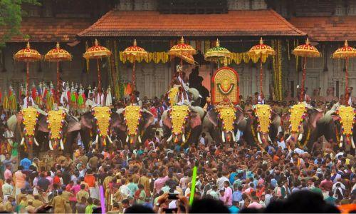 തൃശൂര്‍ പൂരം നടത്തിപ്പ് പ്രതിസന്ധി ഒഴിഞ്ഞു; വനംവകുപ്പ് ഡോക്ടര്‍മാരുടെ പരിശോധന ഒഴിവാക്കി