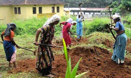 തൊഴിലുറപ്പ് പദ്ധതിയുടെ വേതനം കൂട്ടി കേന്ദ്രം