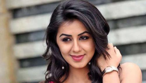 നടി നിക്കി ഗൽറാണിക്ക് കൊവിഡ് നടി നിക്കി ഗൽറാണിക്ക് കൊവിഡ്