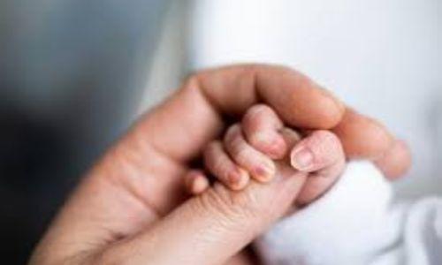 വിവാഹാഘോഷത്തിനിടെ പടക്കം പൊട്ടിച്ചു, കണ്ണൂരിൽ 2 വയസ്സുള്ള കുഞ്ഞ് ഗുരുതരാവസ്ഥയിൽ വിവാഹാഘോഷത്തിനിടെ പടക്കം പൊട്ടിച്ചു, കണ്ണൂരിൽ 2 വയസ്സുള്ള കുഞ്ഞ് ഗുരുതരാവസ്ഥയിൽ