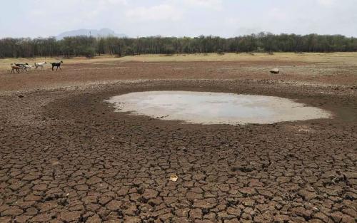 കരിഞ്ഞുണങ്ങി കേരളം: മഴക്കുറവ് 22 ശതമാനത്തിലേക്ക്; വരാനിരിക്കുന്നത് കടുത്ത വരൾച്ചയും ചൂടും!