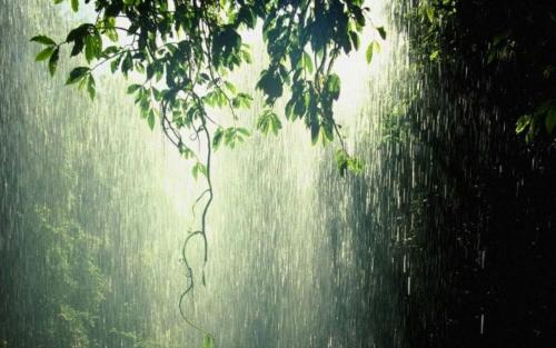 ആകാശം കറുക്കുന്നു; അതിശക്തമായ മഴ മുന്നറിയിപ്പുമായി കാലാവസ്ഥാ വകുപ്പ്