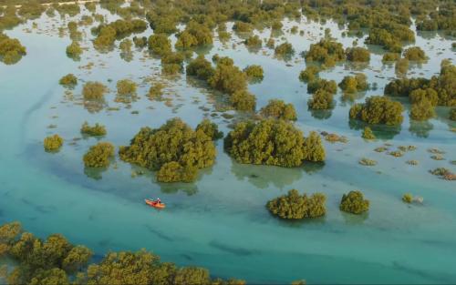 COP28 കാലാവസ്ഥാ ഉച്ചകോടി: പങ്കെടുക്കുന്ന ഓരോ സന്ദർശകനും കണ്ടൽ മരങ്ങൾ നട്ടുപിടിപ്പിക്കാനുള്ള പ്രഖ്യാപനവുമായി യു എ ഇ COP28 കാലാവസ്ഥാ ഉച്ചകോടി: പങ്കെടുക്കുന്ന ഓരോ സന്ദർശകനും കണ്ടൽ മരങ്ങൾ നട്ടുപിടിപ്പിക്കാനുള്ള പ്രഖ്യാപനവുമായി യു എ ഇ