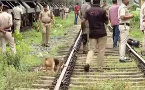 കണ്ണൂരിൽ ട്രെയിൻ കത്തിച്ച സംഭവം; പശ്ചിമ ബംഗാൾ സ്വദേശി കസ്റ്റഡിയിൽ കണ്ണൂരിൽ ട്രെയിൻ കത്തിച്ച സംഭവം; പശ്ചിമ ബംഗാൾ സ്വദേശി കസ്റ്റഡിയിൽ