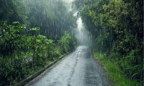സംസ്ഥാനത്ത് കാലവർഷം വീണ്ടും ശക്തമാകും സംസ്ഥാനത്ത് കാലവർഷം വീണ്ടും ശക്തമാകും