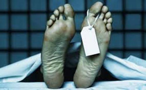 ലോറിയില് നിന്നും മാര്ബിള് ഇറക്കവേ മാര്ബിള് പാളികള്ക്കിടയില് കുടുങ്ങി രണ്ട് ചുമട്ടു തൊഴിലാളികള് മരിച്ചു ലോറിയില് നിന്നും മാര്ബിള് ഇറക്കവേ മാര്ബിള് പാളികള്ക്കിടയില് കുടുങ്ങി രണ്ട് ചുമട്ടു തൊഴിലാളികള് മരിച്ചു