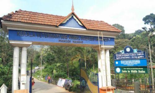 വയനാട്ടിൽ കോളജ് വിദ്യാർത്ഥിയുടെ ആത്മഹത്യ; 12 വിദ്യാർത്ഥികൾക്ക് സസ്പെൻഷൻ വയനാട്ടിൽ കോളജ് വിദ്യാർത്ഥിയുടെ ആത്മഹത്യ; 12 വിദ്യാർത്ഥികൾക്ക് സസ്പെൻഷൻ