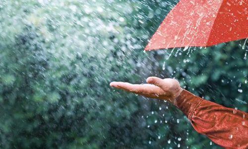 ഏഴ് ജില്ലകളില് വേനല്മഴയ്ക്ക് സാധ്യത ഏഴ് ജില്ലകളില് വേനല്മഴയ്ക്ക് സാധ്യത