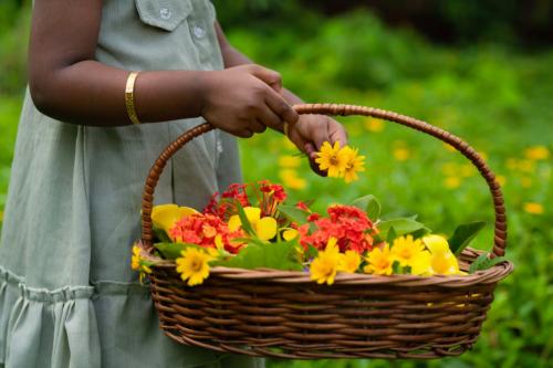 പുത്തനുടുപ്പും ഓണസദ്യയുമായി ആഘോഷിക്കാം; സംസ്ഥാനത്തെ സ്കൂളുകൾക്ക് ഓണാവധി ആഗസ്റ്റ് 22 മുതൽ 30 വരെ