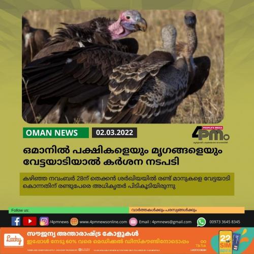 ഒമാനില്‍ പക്ഷികളെയും മൃഗങ്ങളെയും വേട്ടയാടിയാല്‍ കര്‍ശന നടപടി