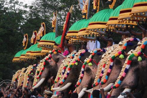 തൃ​ശൂ​ർ പൂ​ര​ത്തി​ൽ പ​ങ്കെ​ടു​ക്കാ​ൻ അ​നു​മ​തി ര​ണ്ട് ഡോ​സ് വാ​ക്സി​ൻ എ​ടു​ത്ത​വ​ർ​ക്ക് മാ​ത്രം